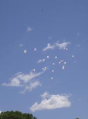 THERE THEY GO...ALL 21 STRAIGHT TO HEAVEN WITH LOTS OF HUGS AND KISSES AND BIRTHDAY WISHES-LOVE YOU SO MUCH BIRTHDAY ANGEL